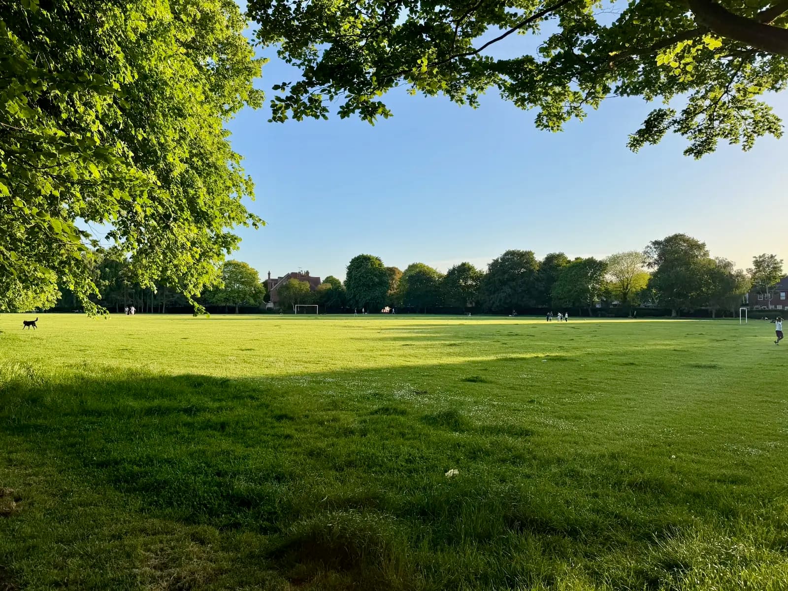 Victoria Park, Worthing — open green with football goals, framed by mature trees