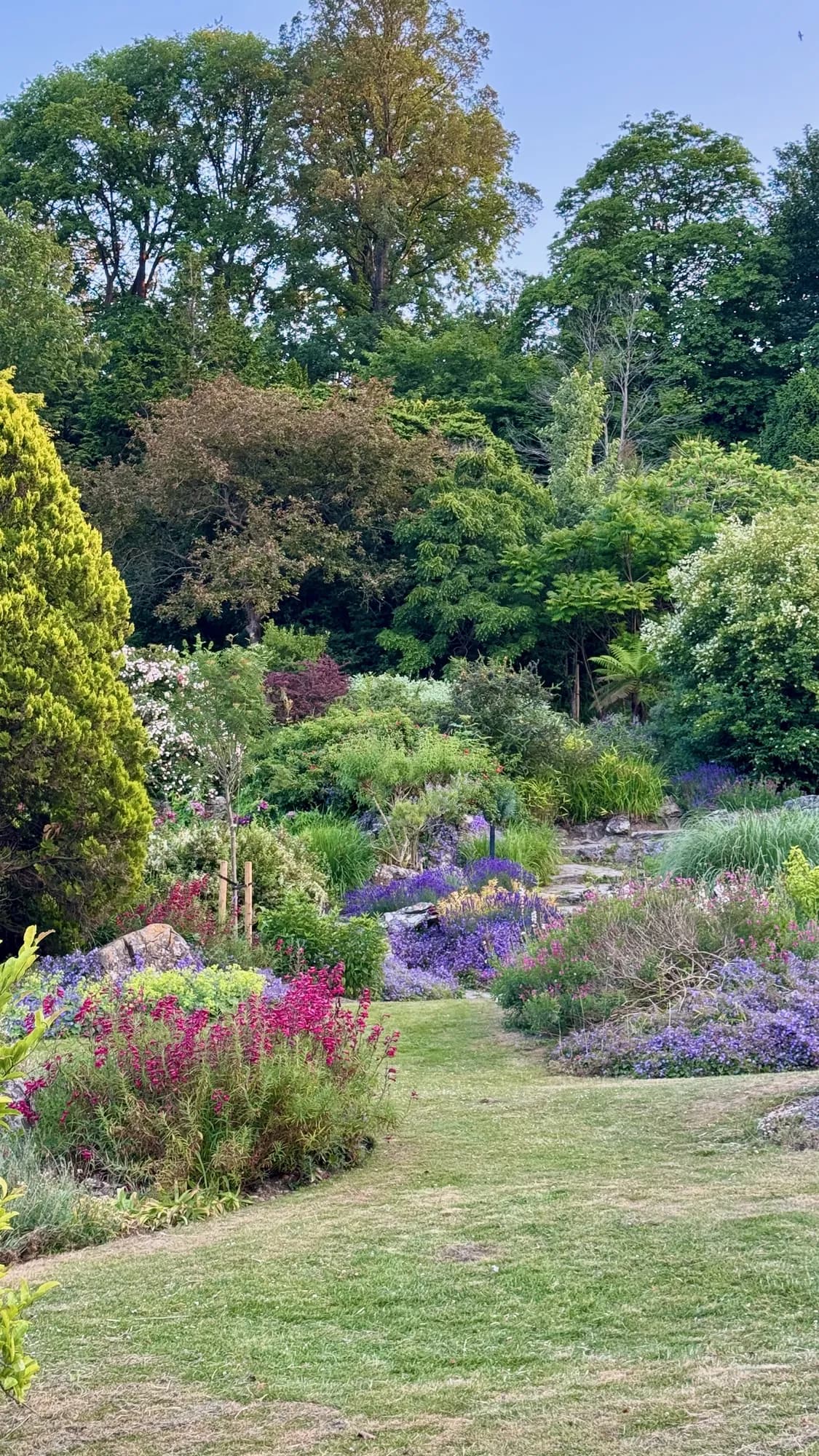The Preston Park rockery in full bloom with lavender, salvias and ornamental shrubs in summer