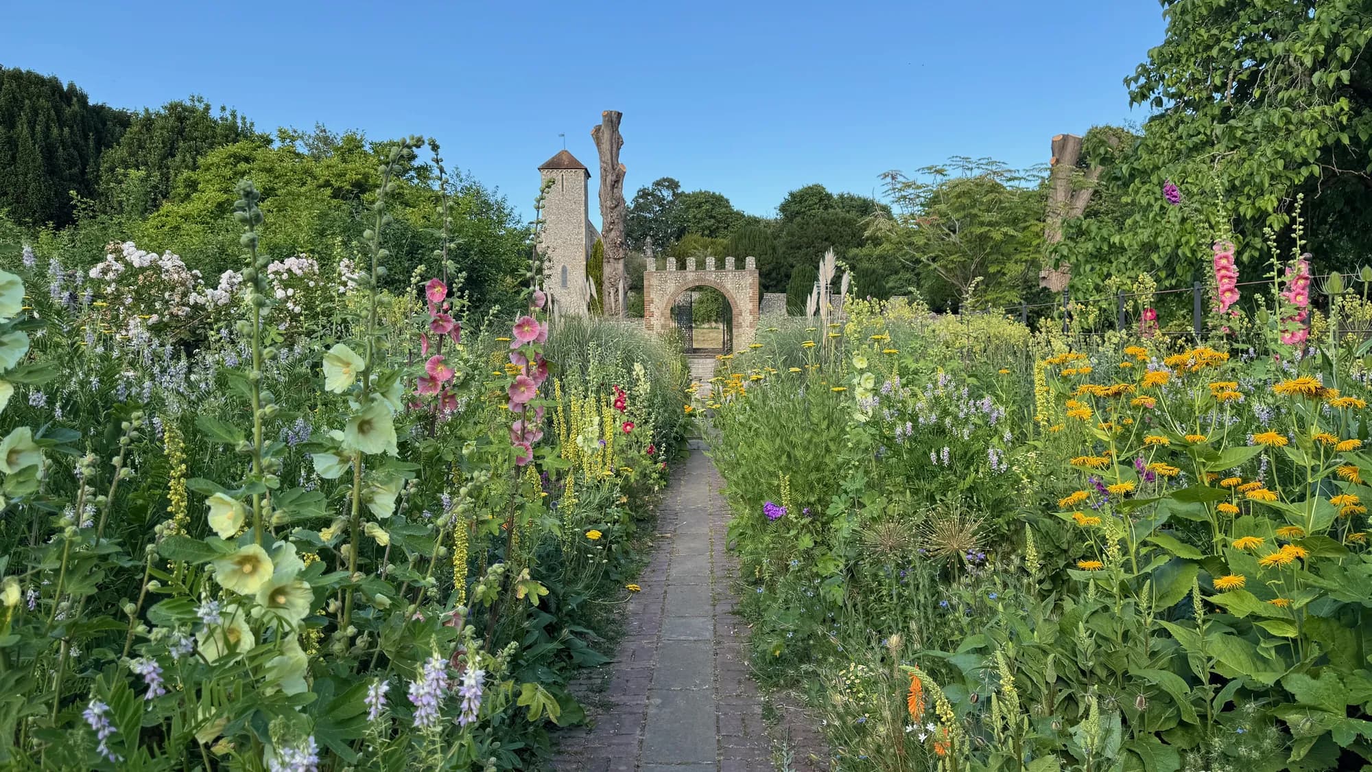 Hollyhocks, foxgloves and wildflowers lining a path to the Preston Park rockery walled garden