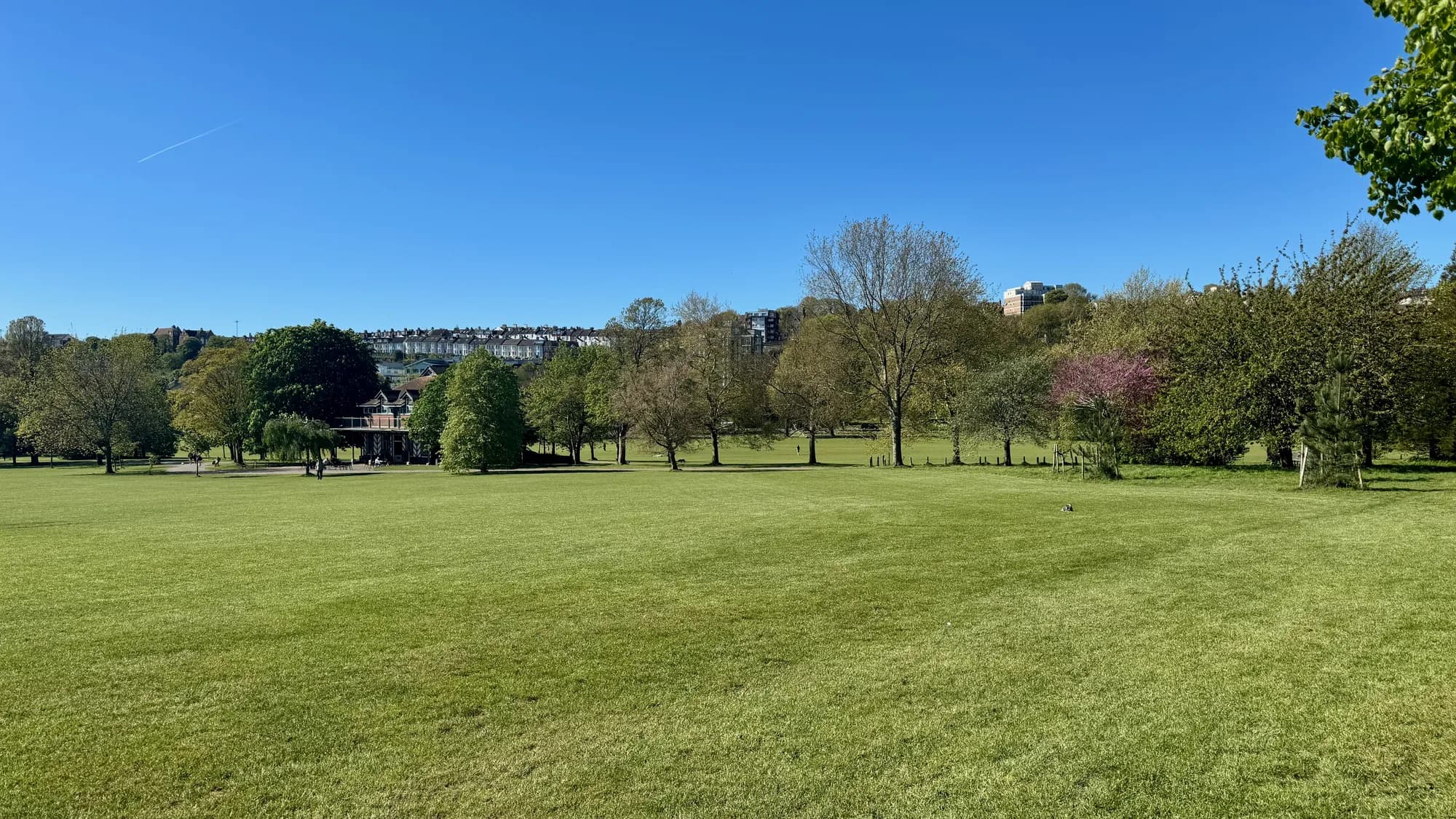 The wide western lawn of Preston Park with the Brighton hillside terraces visible on the horizon